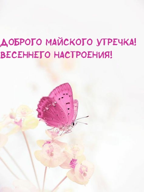 Доброго майского утречка! Весеннего настроения!