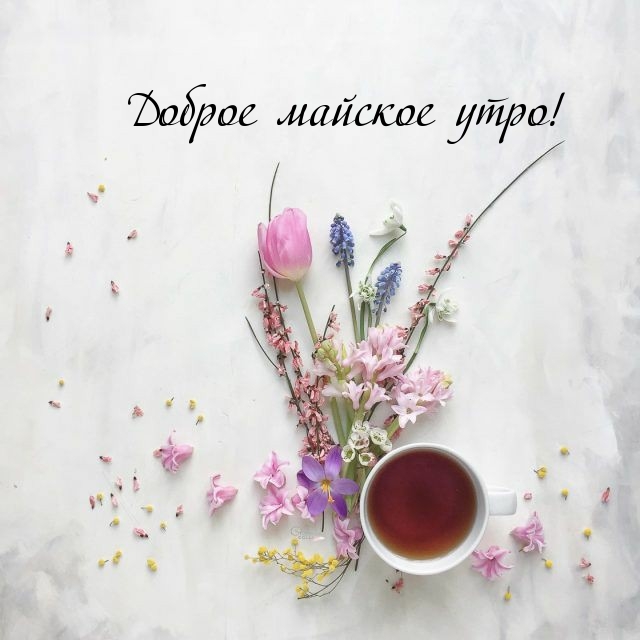 Доброе майское утро!