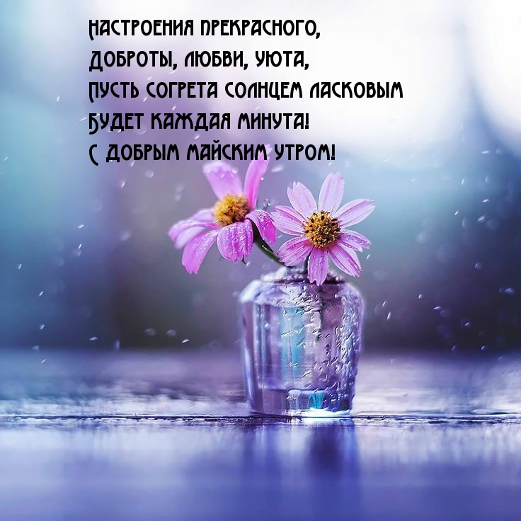 С добрым майским утром! Настроения прекрасного!