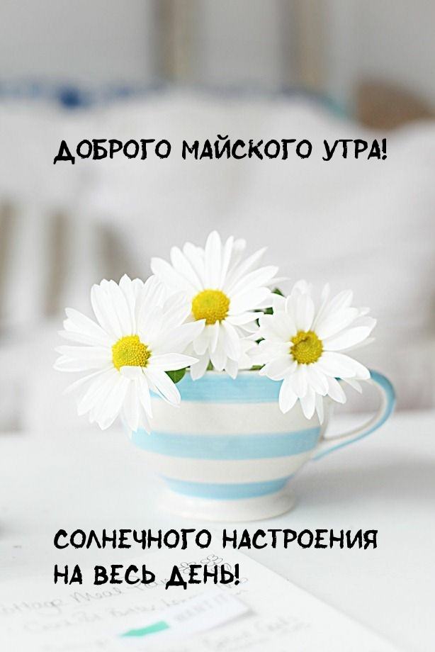 Доброго майского утра! Солнечного настроения !