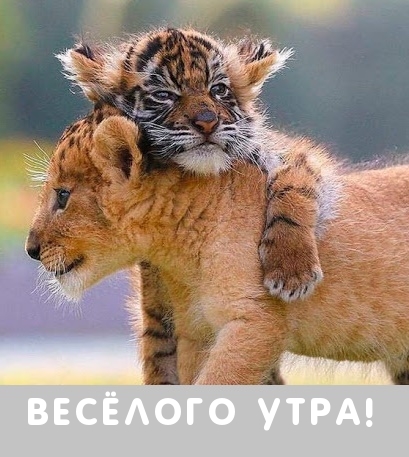 ВесЁлого утра!