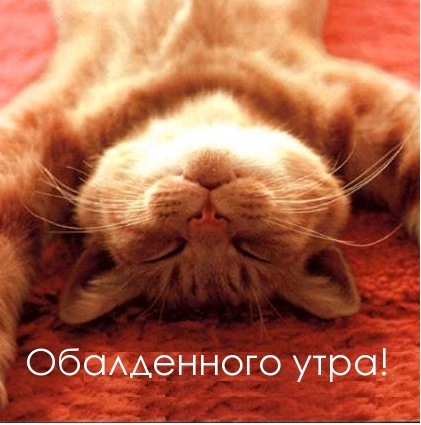 Обалденного утра!