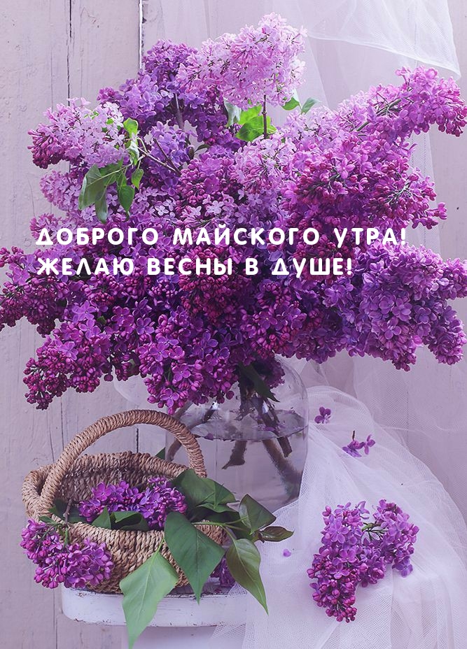 Доброго майского утра! Желаю весны в душе!