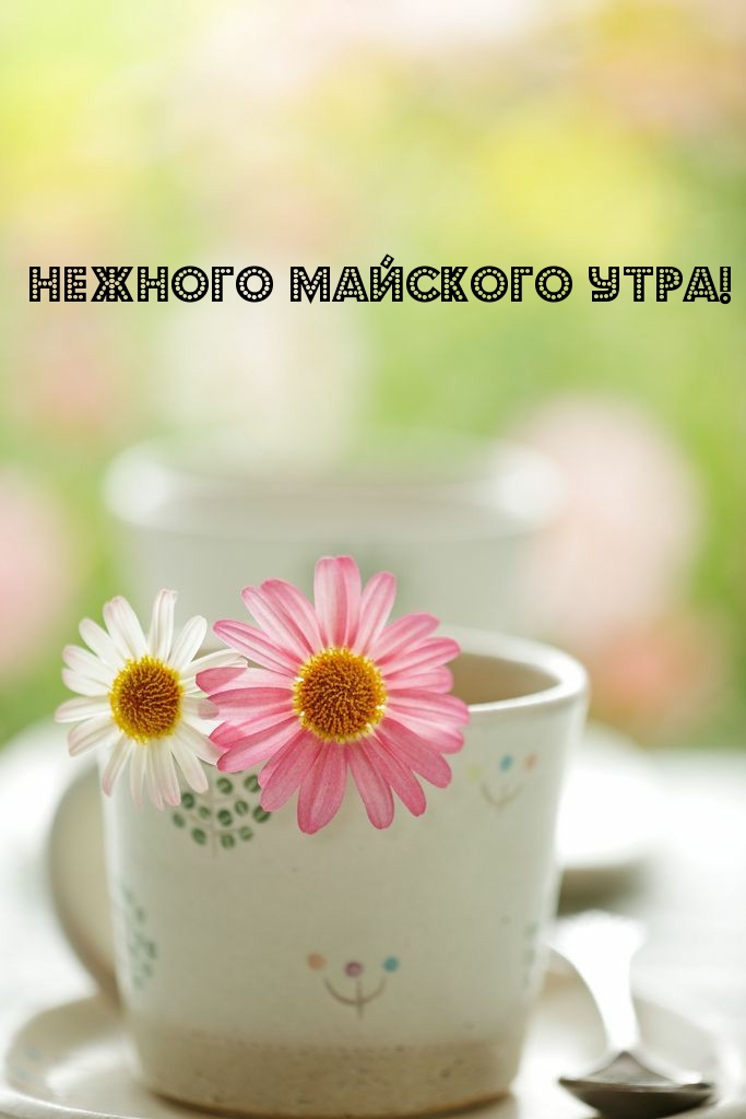 Нежного майского утра!