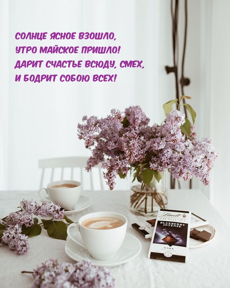 Утро майское пришло! Солнце ясное взошло!