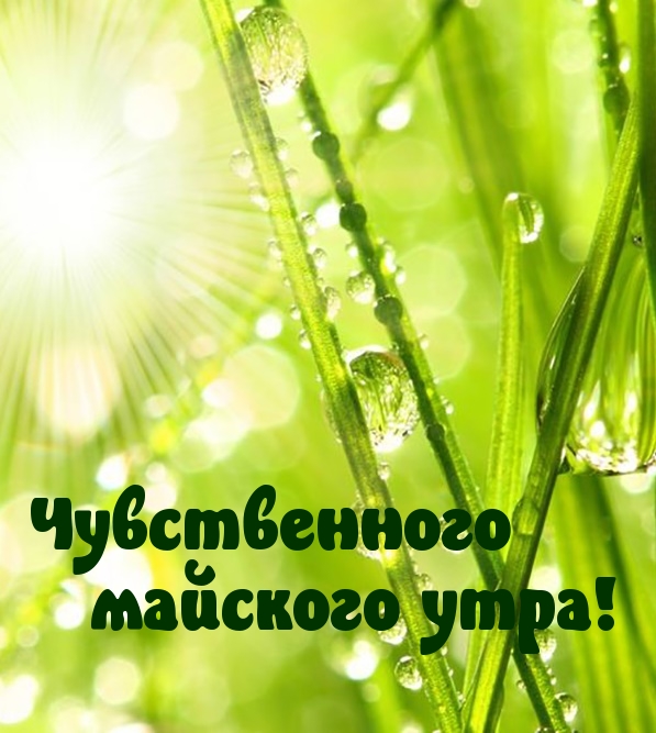 Чувственного майского утра!