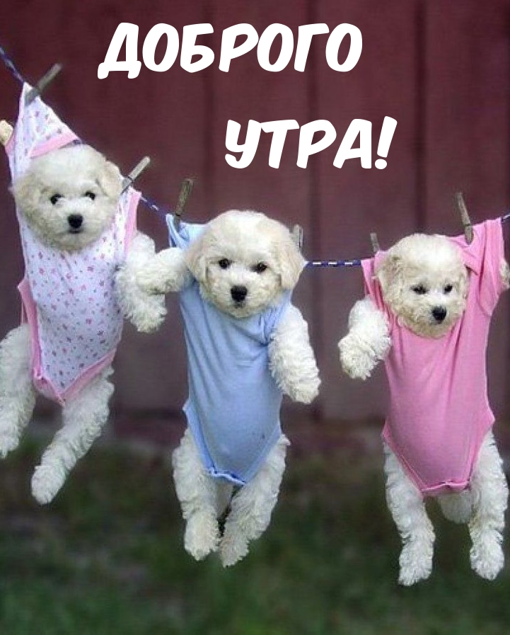 Доброго утра!