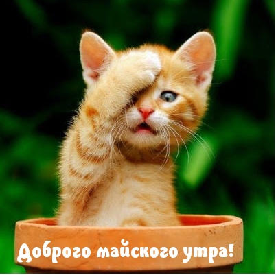 Доброго майского утра!