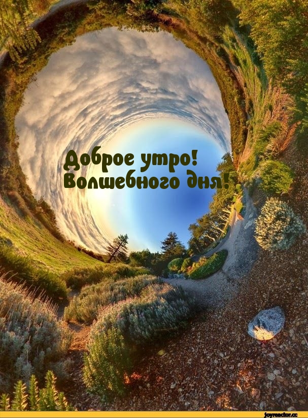 Доброе утро! Волшебного дня!