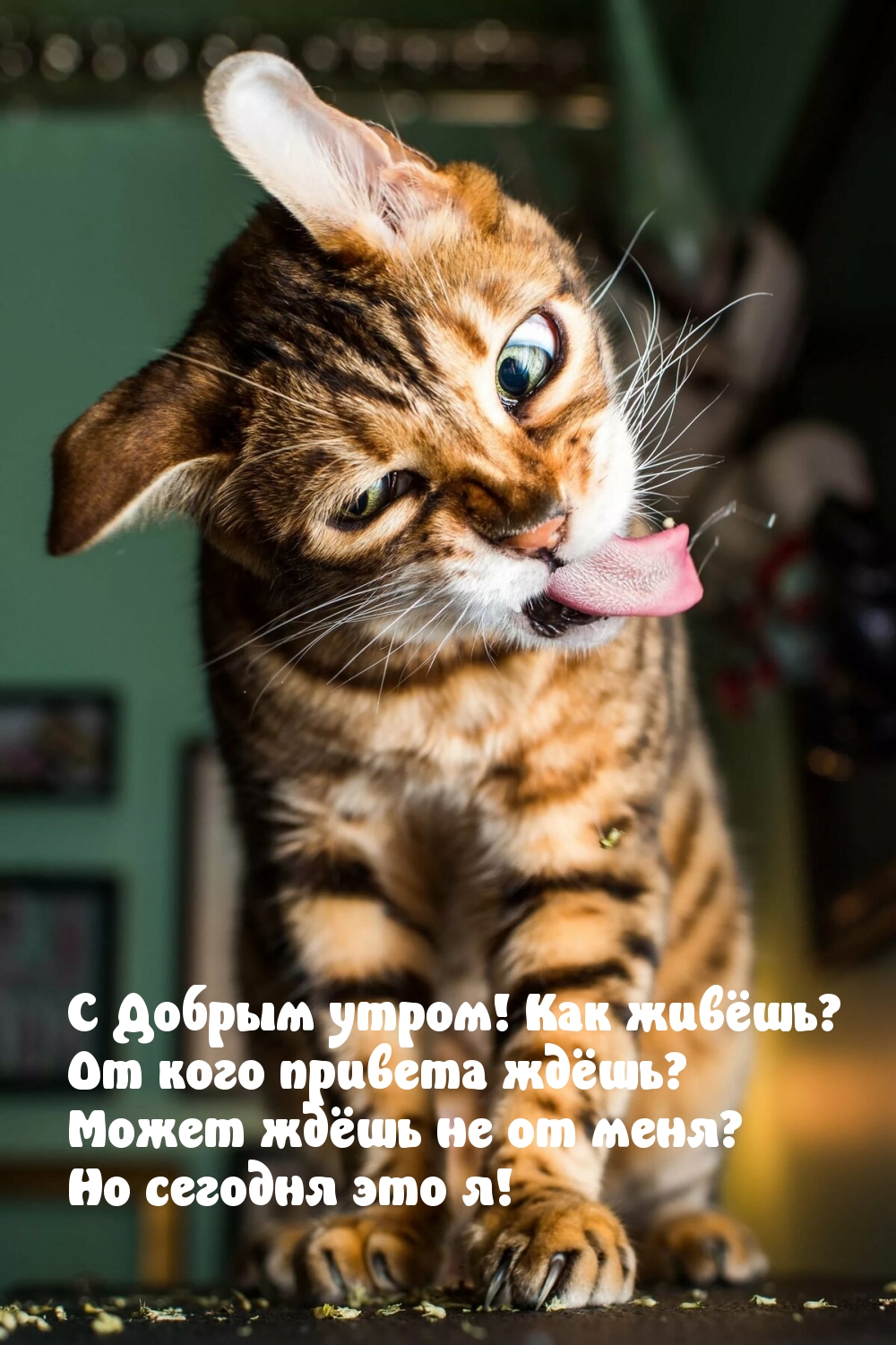 С Добрым утром! Как живёшь? От кого привета ждешь?