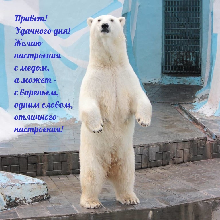 Привет! Удачного дня!
