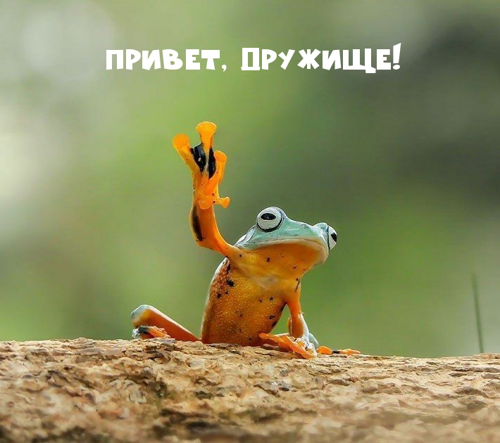 Привет, дружище!
