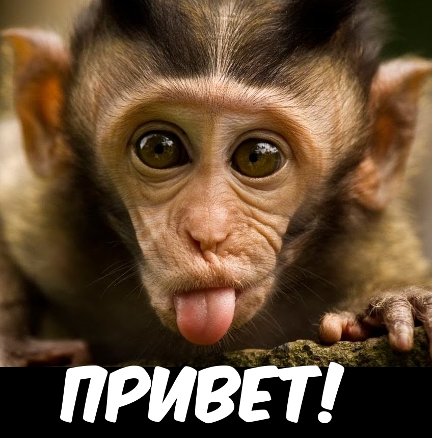 Привет!