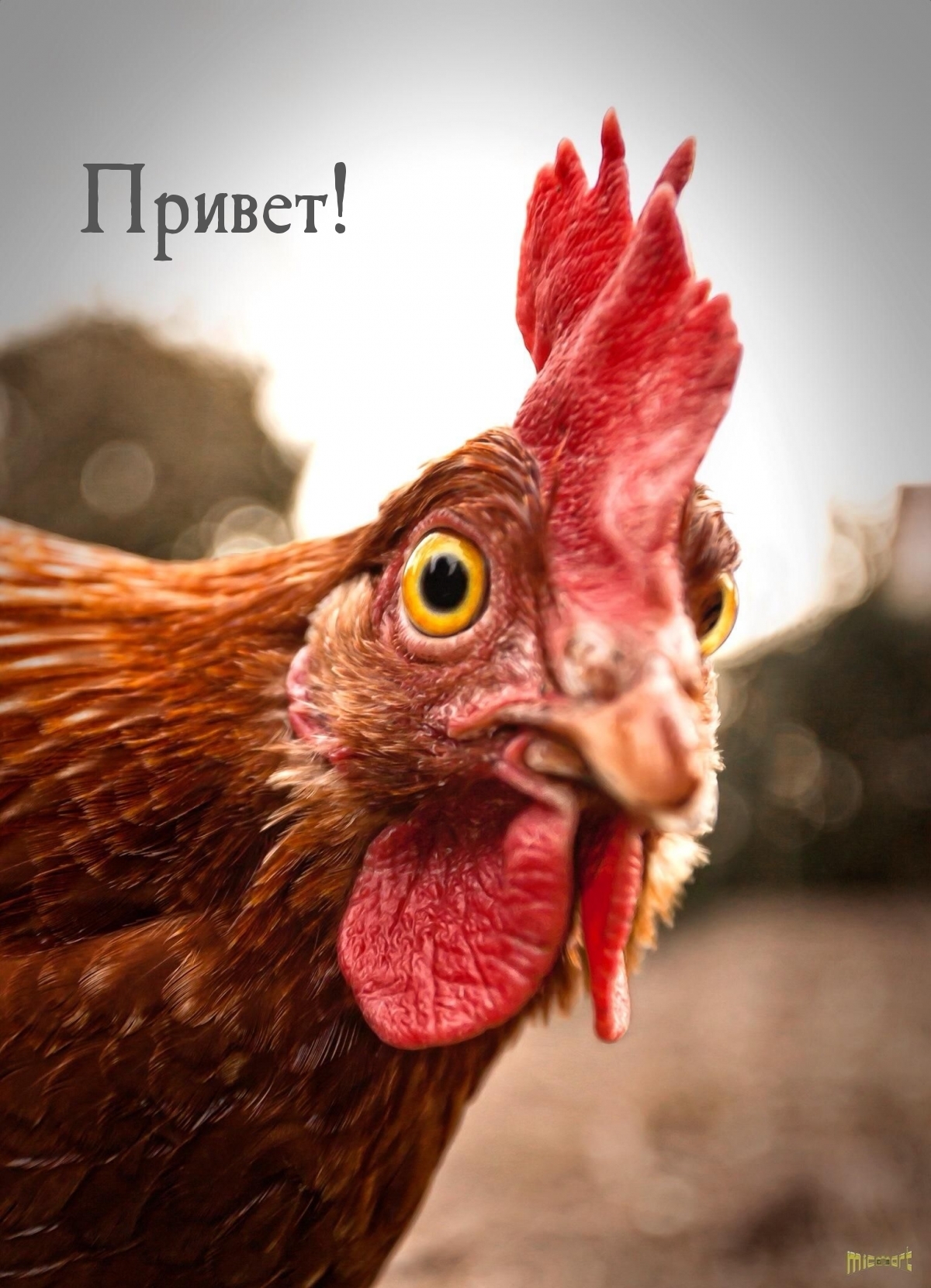 Привет!