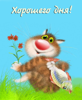 Хорошего дня! От котика