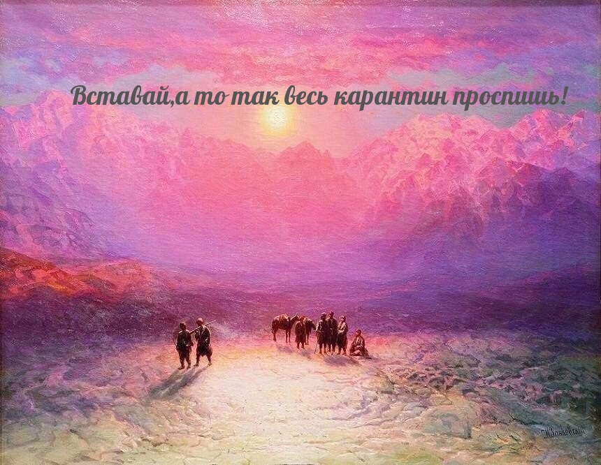 Картинка - Вставай,а то так весь карантин проспишь!.