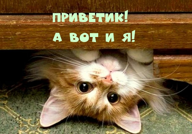 Приветик! А вот и я!