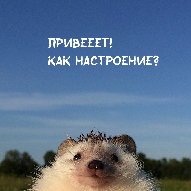 Привееет! Как настроение?
