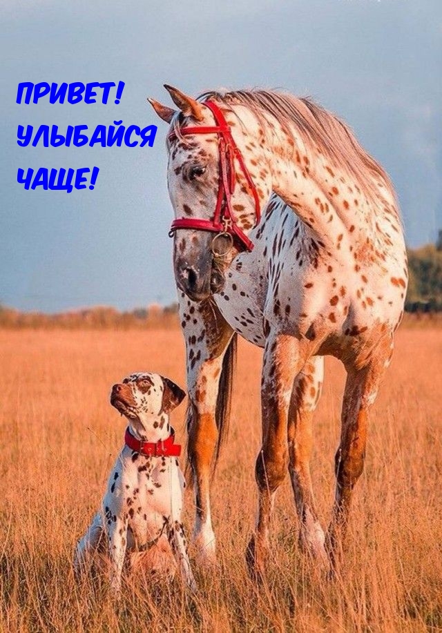 Привет! Улыбайся чаще!