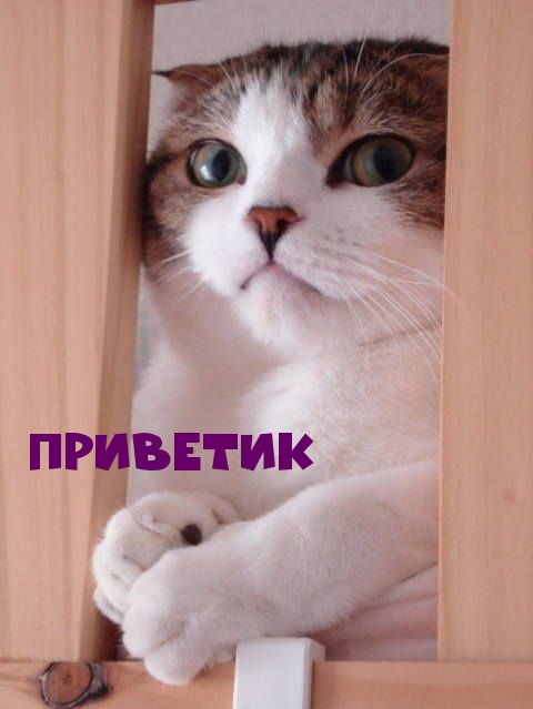 Приветик