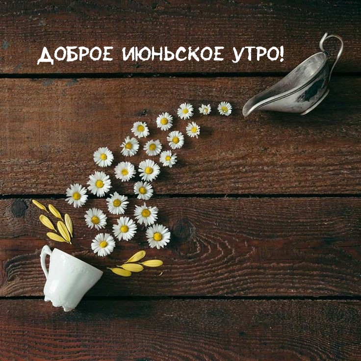 Доброе июньское утро!