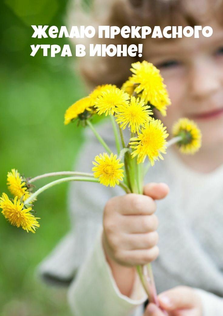 Желаю прекрасного Утра в июне!