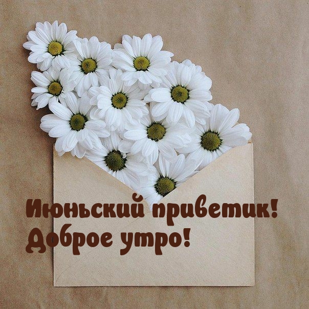 Июньский приветик! Доброе утро!