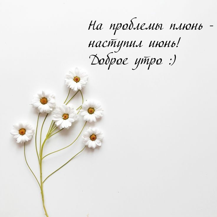 На проблемы плюнь — наступил июнь! Доброе утро :)