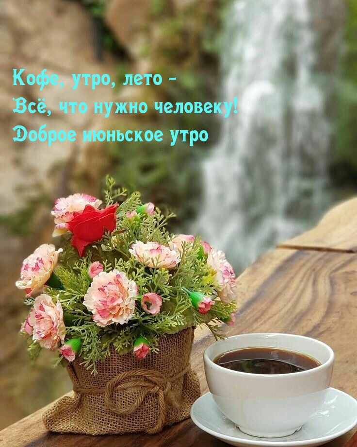 Кофе, утро, лето. Доброе июньское утро.