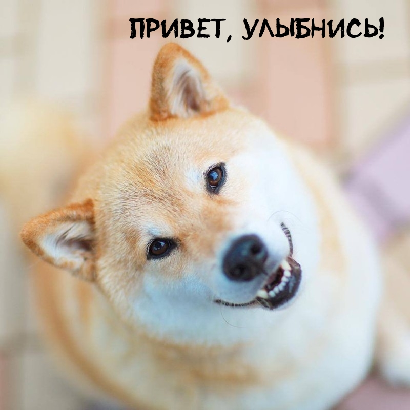 Привет, улыбнись!