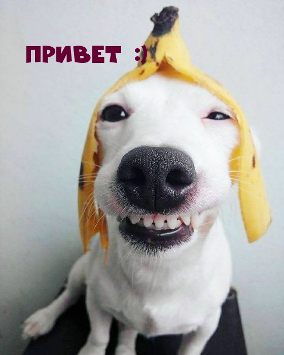 Привет :)