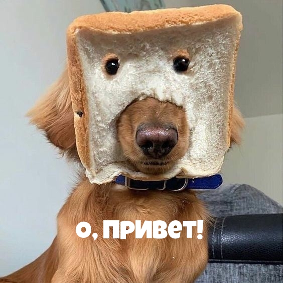 О, привет!
