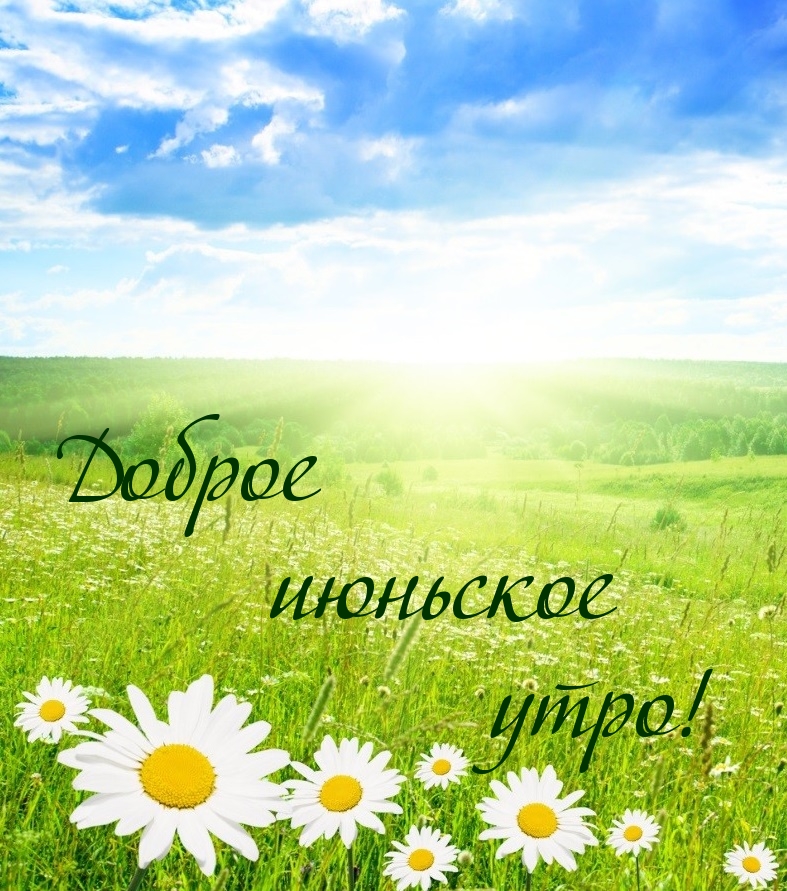 Доброе июньское утро!