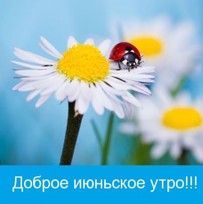 Доброе июньское утро!