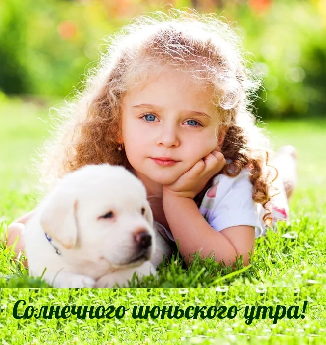 Солнечного июньского утра!
