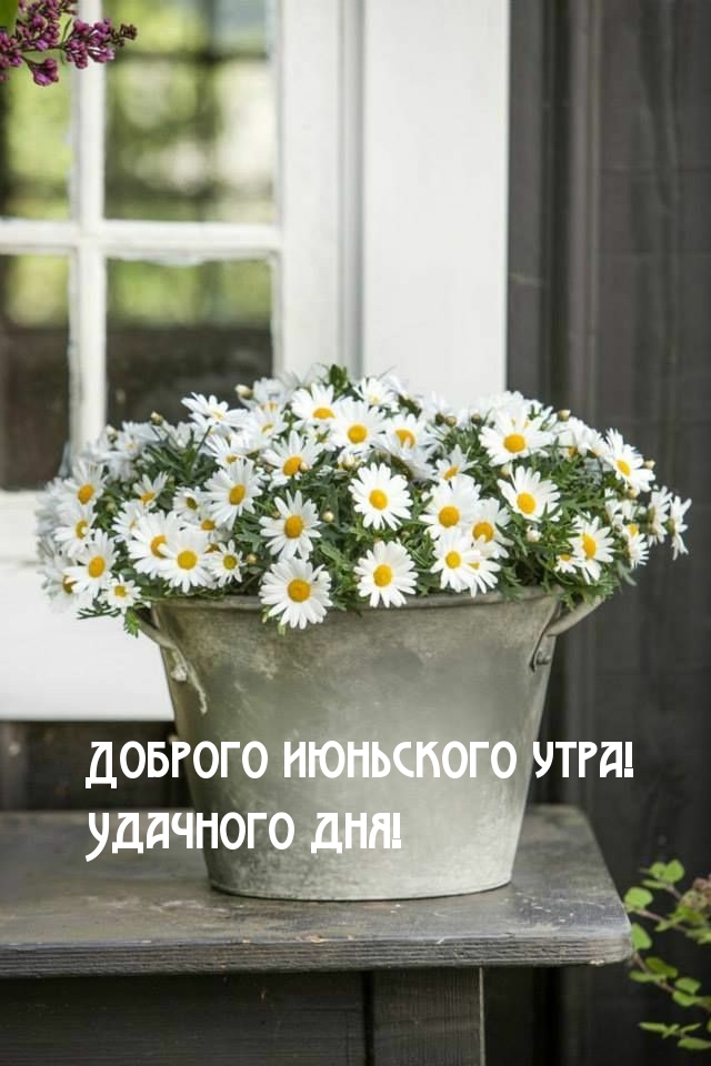 Доброго июньского утра! Удачного дня!