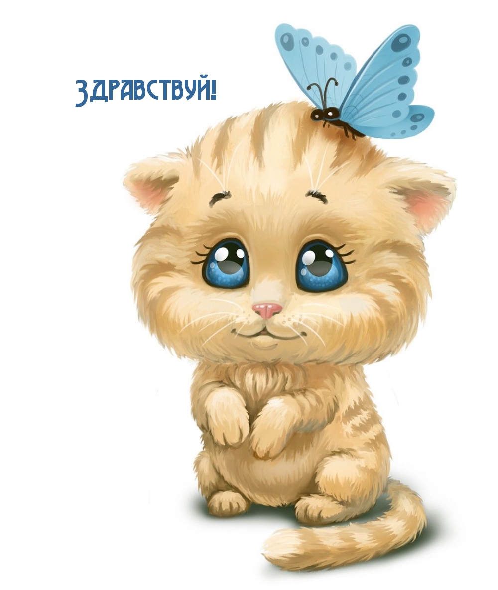 Здравствуй!