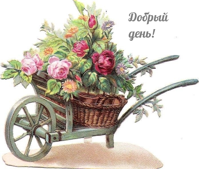 Добрый день!