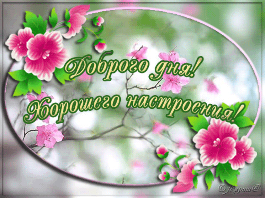 Хорошего дня и отличного настроения!