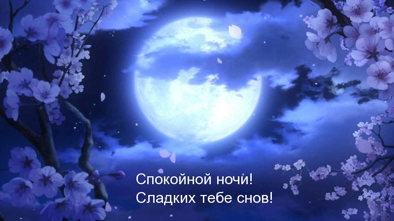 Спокойной ночи! Сладких тебе снов!
