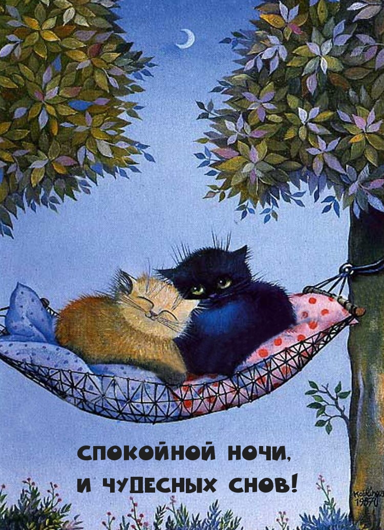 Спокойной ночи, и чудесных снов!