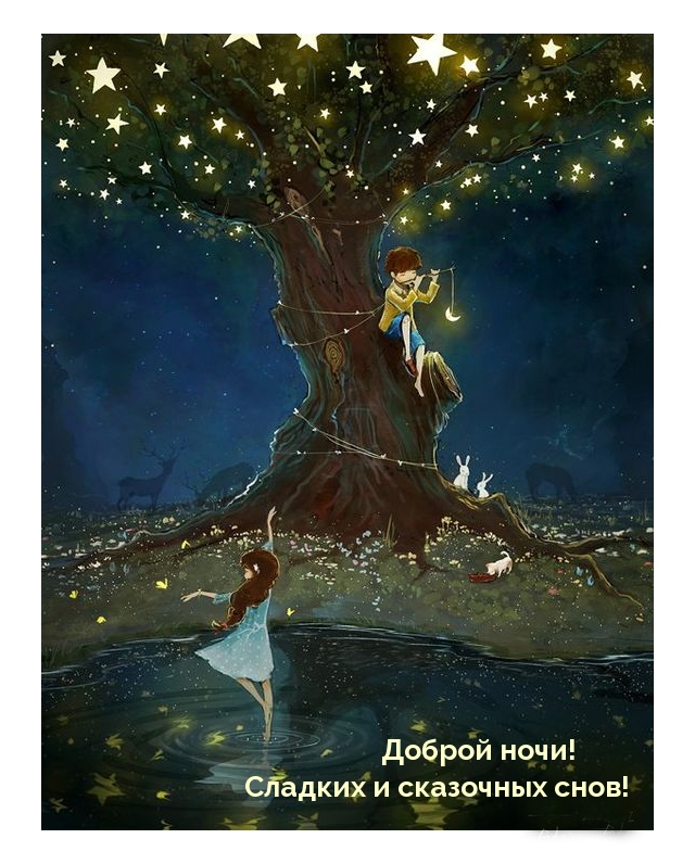 Доброй ночи! Сладких и сказочных снов!