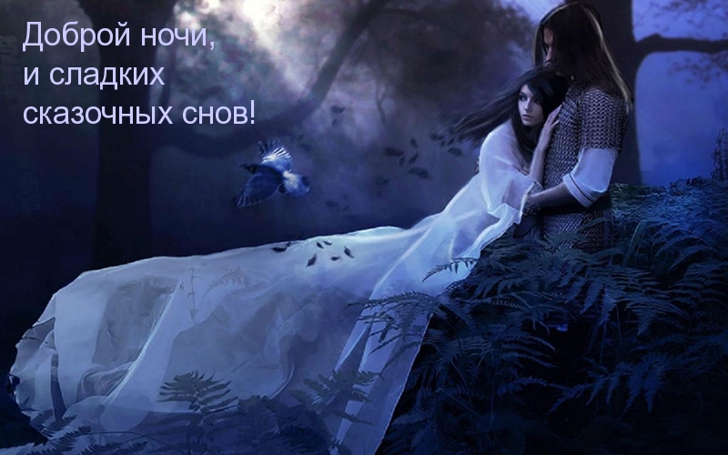 Доброй ночи, и сладких сказочных снов!