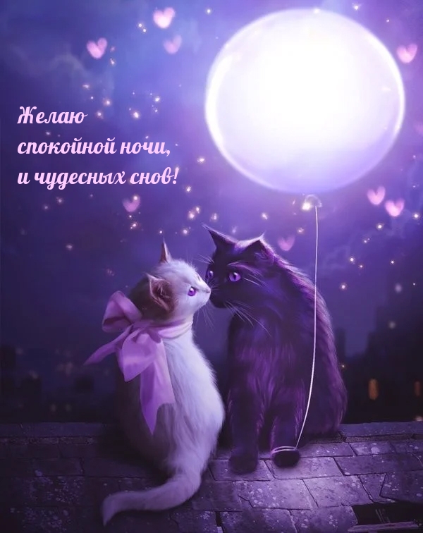 Желаю спокойной ночи, и чудесных снов!