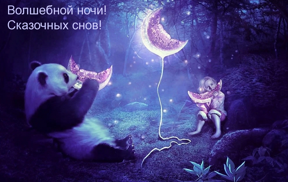 Волшебной ночи! Сказочных снов!
