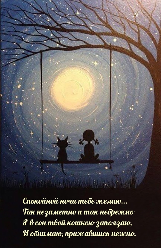 Спокойной ночи тебе желаю…
