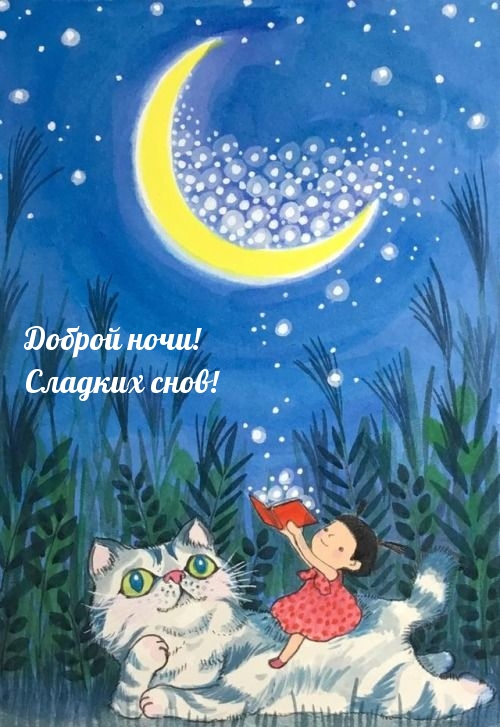 Доброй ночи! Сладких снов!
