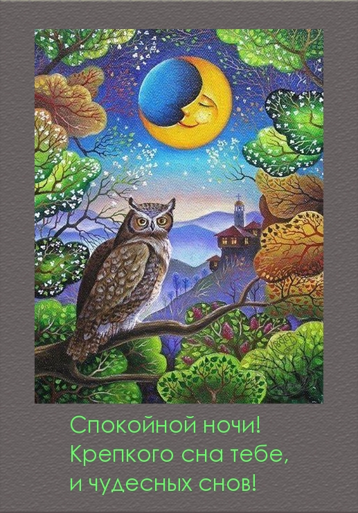 Спокойной ночи! Крепкого сна тебе, и чудесных снов!