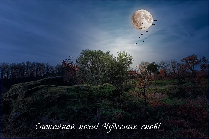 Спокойной ночи! Чудесных снов!