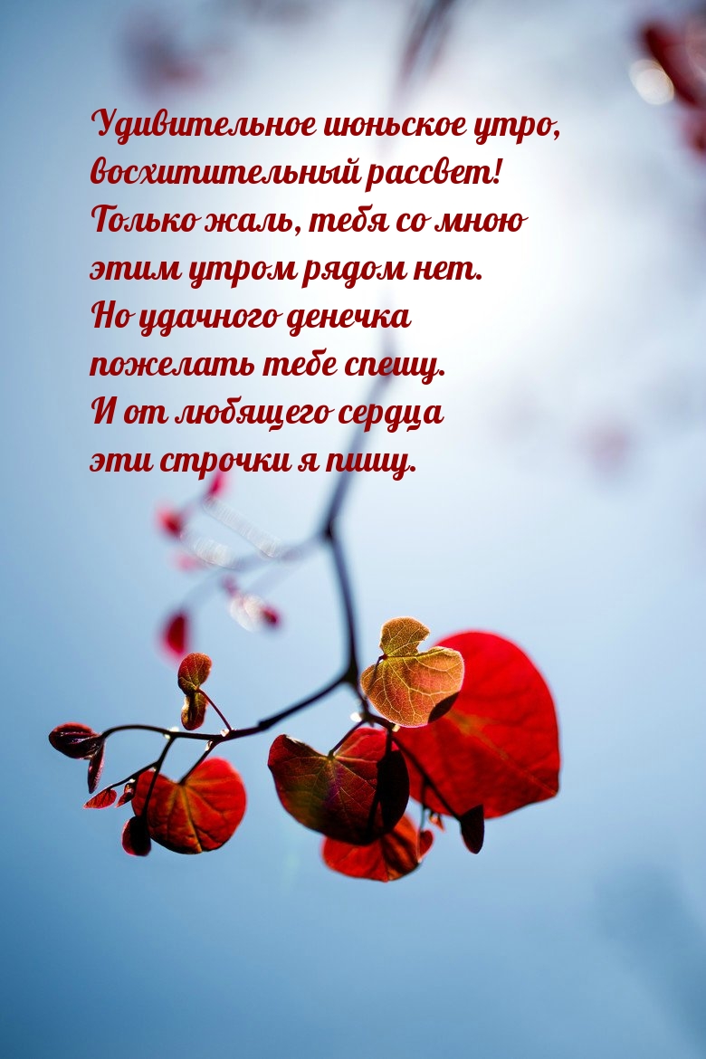 Удивительное июньское утро, восхитительный рассвет!